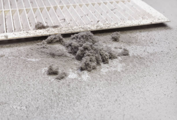 Best HVAC Air Duct Cleaning  in Forest Lake, IL