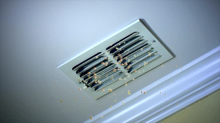 Best HVAC Maintenance and Cleaning  in Forest Lake, IL