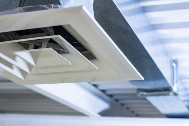 Best Dryer Vent Cleaning Services  in Forest Lake, IL