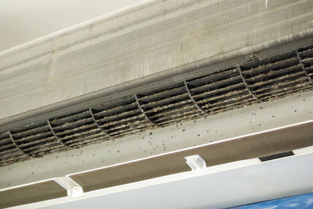 Best Commercial HVAC Duct Cleaning  in Forest Lake, IL