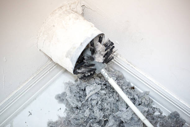 Best Affordable HVAC Duct Cleaning  in Forest Lake, IL